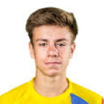 Стэн ван Дессел