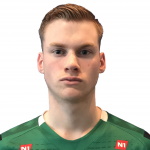 Þorleifur Úlfarsson