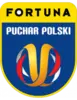 Кубок Польши 2023/2024