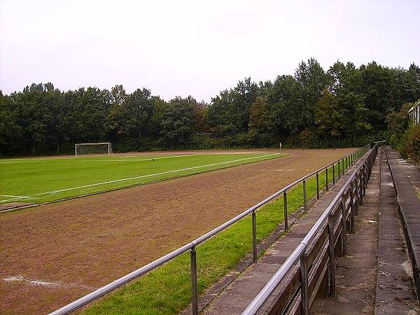 stadium photo