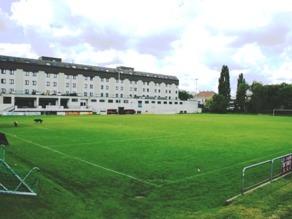 stadium photo